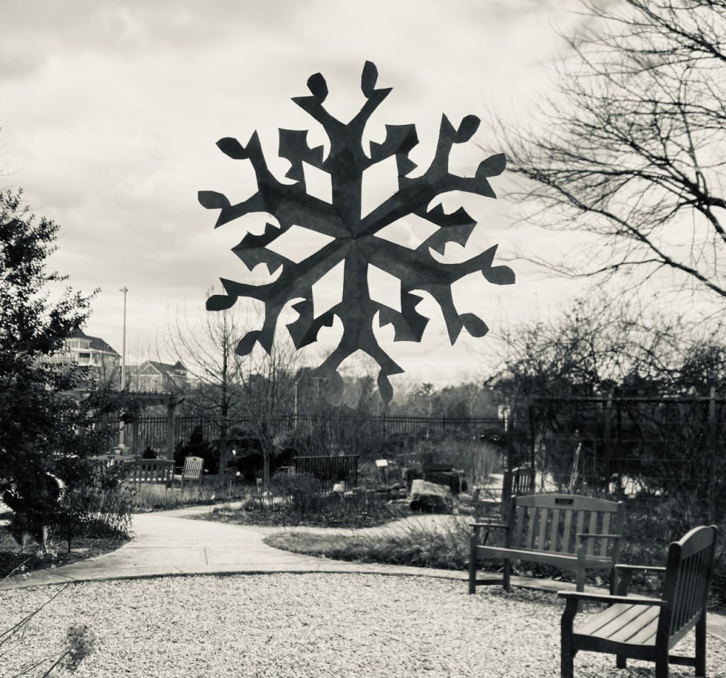 A black and white photo of a paper snowflake in a window, overlooking benches, trees, and garden beds in the Enchanted Garden of the Miller Branch at HCLS.