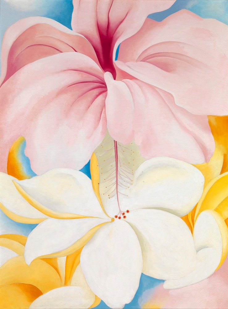 Two large flowers: a pink hibiscus above a white plumeria, with other yellow petals behind the plumeria and a blue background above the hibiscus. Overall, a bright pastel compostion.
